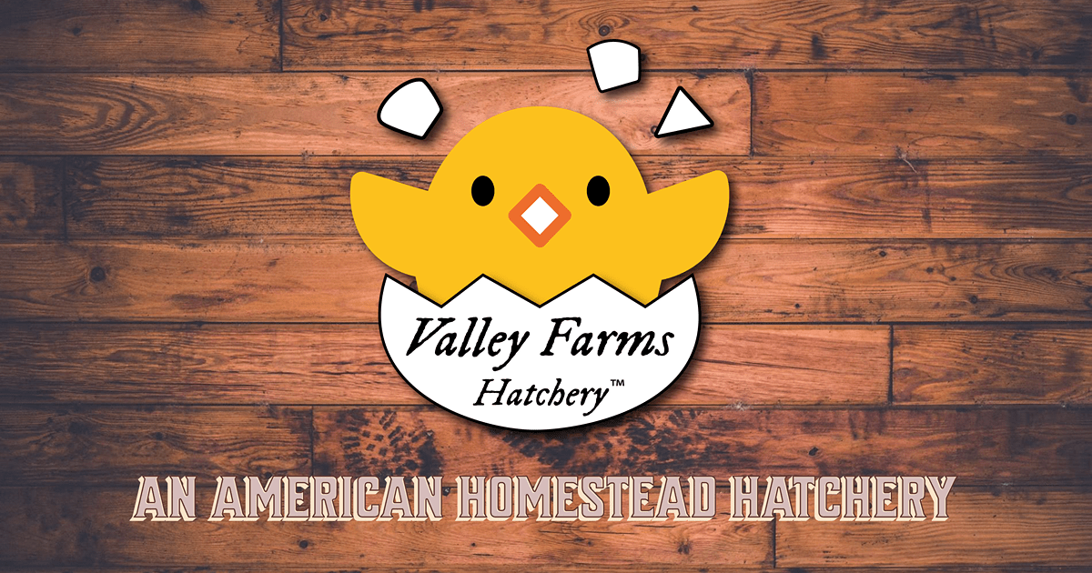 www.valleyfarmshatchery.com