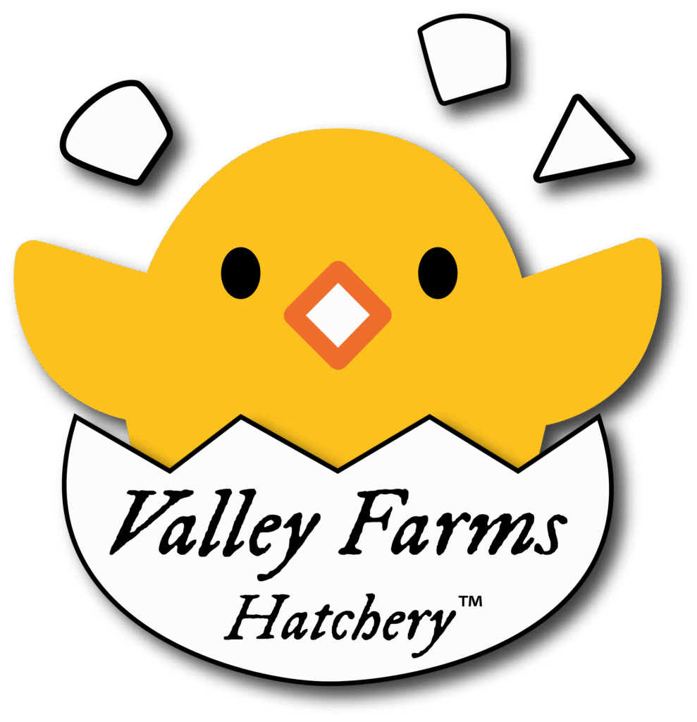 Valley Farms Hatchery